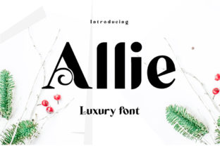 Allie: A Stylish Display Font for Creative Campaigns