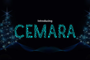 Cemara: A Playful Display Font
