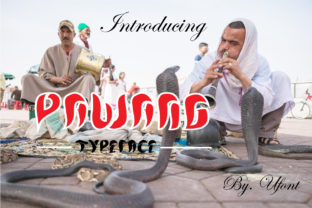 Pawang Display Font: A Web Designer's Review for Modern Digital Brands